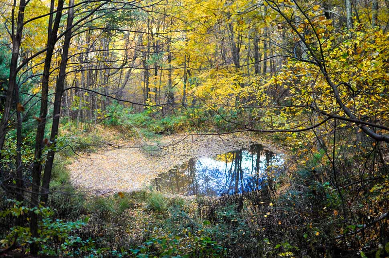 Illustration for article titled 48 Photos Of Autumn Around The World